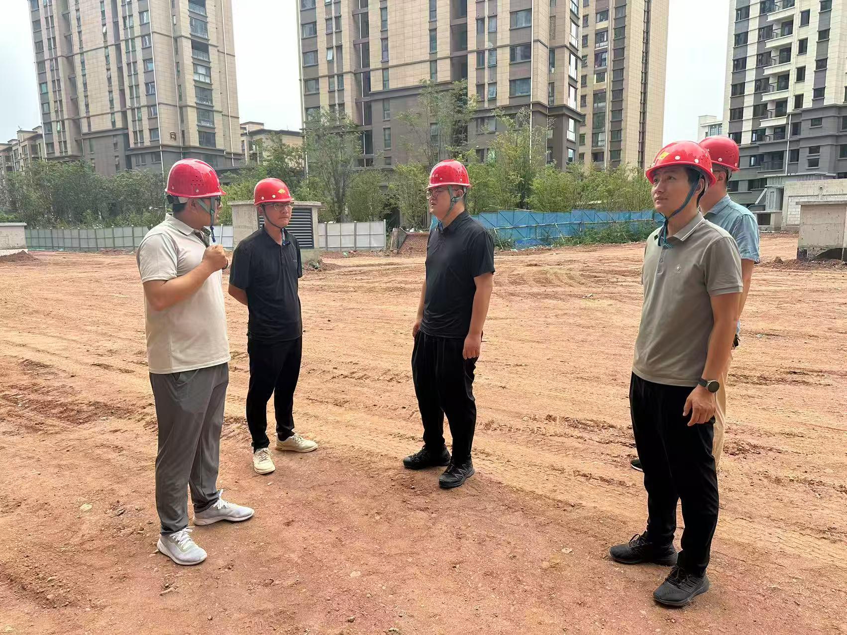 中共商洛市城投工程公司支部委员会开展“党员先锋在行动 攻坚克难显担当”主题党日活动